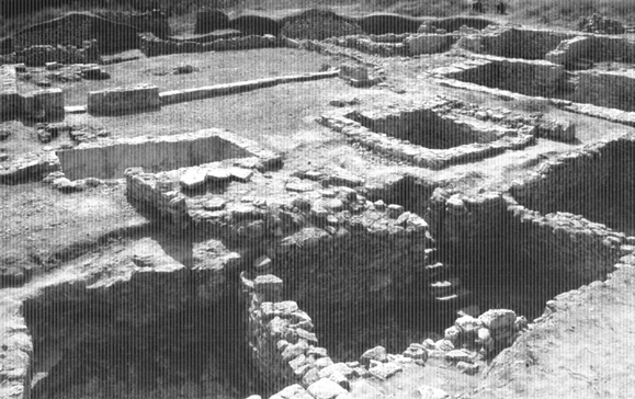Раскопки города Танаиса